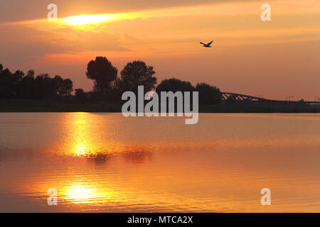 Coucher de soleil sur la rivière IJssel près de Zwolle Banque D'Images