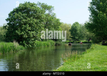 L'exploration de la rivière Stour en bateau, près de moulin de Flatford, East Bergholt, dans le Suffolk, Angleterre, RU Banque D'Images