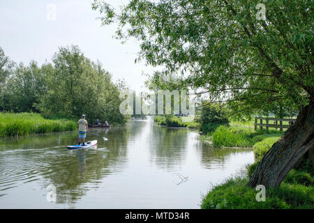 L'exploration de la rivière Stour par paddler Flatford, conseil près de East Bergholt, dans le Suffolk, Angleterre, RU Banque D'Images