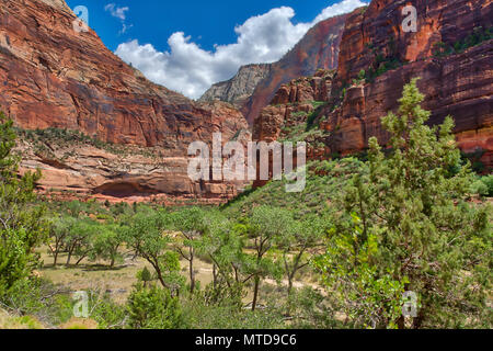 La vue sur la vallée de Big Bend point dans le parc national de Zion. Banque D'Images