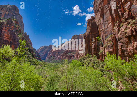 Vue sur la vallée de la région de Weeping Rock Zion National Park. Banque D'Images