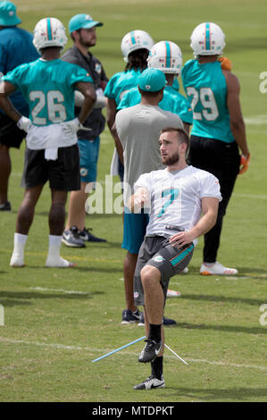 Davie, Floride, USA. 30 mai, 2018. Miami Dolphins kicker Jason Sanders (7) pendant les activités de l'équipe organisé le baptiste de formation du personnel sanitaire à la Nova Southeastern University à Davie, Floride le 30 mai 2018. Credit : Allen Eyestone/Le Palm Beach Post/ZUMA/Alamy Fil Live News Banque D'Images