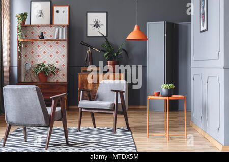 Deux fauteuils, table basse orange, les plantes, les armoires et les murs gris dans un salon intérieur Banque D'Images