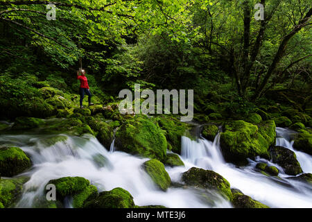 Femme en rouge avec un projecteur comité permanent par l'eau circulant sur des pierres couvertes de mousse. Un ruisseau de montagne. Banque D'Images