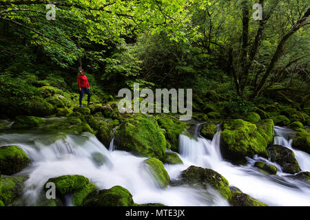 Femme en rouge avec un projecteur comité permanent par l'eau circulant sur des pierres couvertes de mousse. Un ruisseau de montagne. Banque D'Images