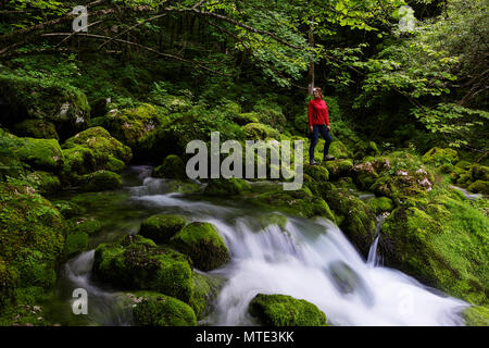 Femme en rouge avec un projecteur comité permanent par l'eau circulant sur des pierres couvertes de mousse. Un ruisseau de montagne. Banque D'Images