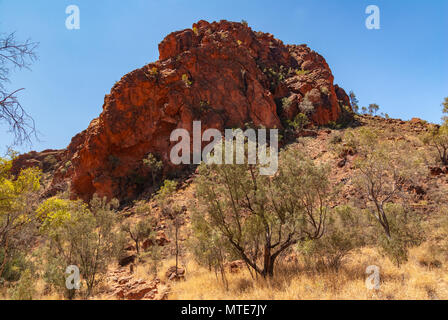 N'Dhala Gorge Nature Park in East MacDonnell près d'Alice Springs, Territoires du Nord, Australie Banque D'Images