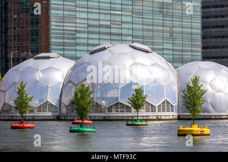 Art action Dobberend Bos, d'artistes de Rotterdam, une forêt d'ormes flottante arbres, en mer du Nord, des bouées désaffectées dans un bassin du port, Rotterdam, Pays-Bas Banque D'Images