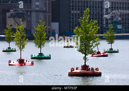 Art action Dobberend Bos, d'artistes de Rotterdam, une forêt d'ormes flottante arbres, en mer du Nord, des bouées désaffectées dans un bassin du port, Rotterdam, Pays-Bas Banque D'Images