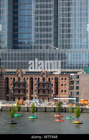 Art action Dobberend Bos, d'artistes de Rotterdam, une forêt d'ormes flottante arbres, en mer du Nord, des bouées désaffectées dans un bassin du port, Rotterdam, Pays-Bas Banque D'Images