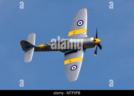 Hawker Sea Fury T20 Seconde guerre mondiale avion de chasse voler dans le ciel bleu. Royal Navy Fleet Air Arm Guerre mondiale Deux avions Banque D'Images