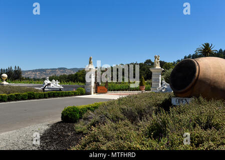 Piazza Del Dotto Vineyard à Napa, en Californie Banque D'Images