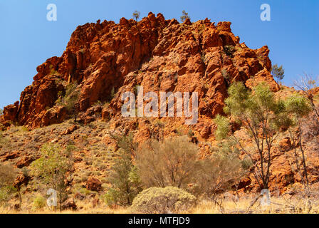 N'Dhala Gorge Nature Park in East MacDonnell près d'Alice Springs, Territoires du Nord, Australie Banque D'Images