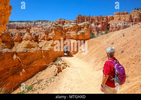 Porte sur le jardin de la Reine, sentier de randonnée Le parc National de Bryce Canyon, UT Banque D'Images