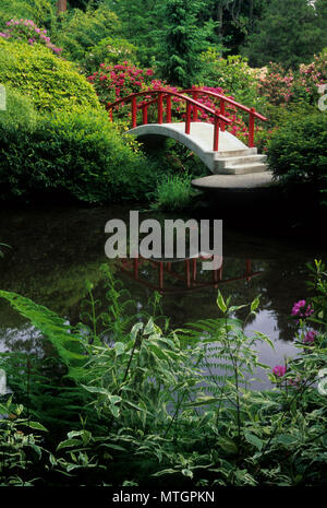 Pont de lune, Kubota Jardin, Seattle, Washington Banque D'Images