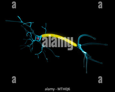 Anatomie 3d illustration de neurones isolés, fond noir. Banque D'Images