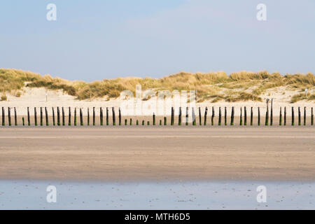 Une ligne de bois épis, installé pour protéger les dunes contre l'érosion de la mer le long de cette partie de la côte du Sussex. Banque D'Images