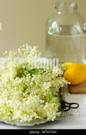 Des fleurs, de l'eau, de citron et de sucre, les ingrédients pour la fabrication du sirop d'un aîné. De style rustique, selective focus. Banque D'Images