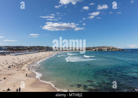 Les nageurs à Bondi Beach à Sydney, Nouvelle-Galles du Sud, l'Australie au cours de l'été Banque D'Images