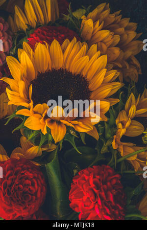 Dahlia et de tournesols fleurs bouquet aux couleurs rétro, Close up Banque D'Images