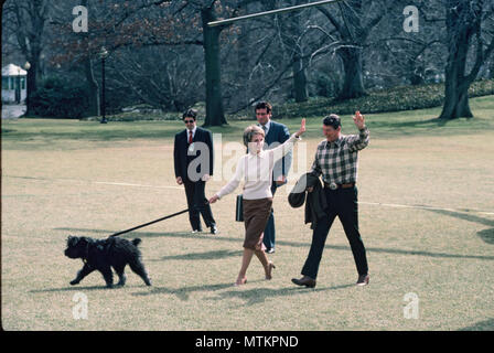 Washington, DC 1985/03/01 Le président Reagan et Première dame Nancy Reagan arrivant à la WhiteHouse de Camp David avec leur chien, Lucky en mars 1985 Photographie par Dennis Brack Banque D'Images