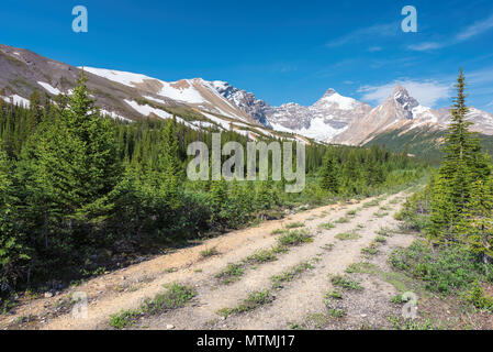 Belle route rurale dans les Rocheuses canadiennes. Banque D'Images