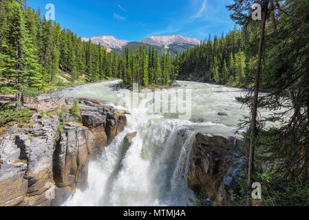 Le Parc National de Jasper, Canada. Banque D'Images