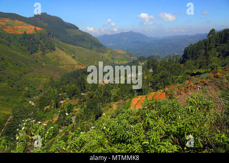 Paysage de montagne au Sri Lanka Banque D'Images