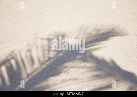 Ombres de frondes de palmiers en volant sur la plage de sable de texture. Mer des Caraïbes. Riviera Maya Mexique Banque D'Images