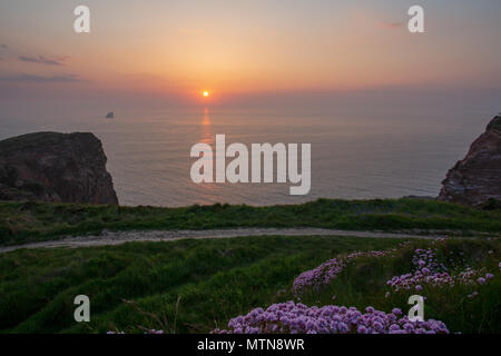 Coucher de soleil sur la Cornish Coastpath à Rolvenden Airfield, Cornwall, UK Banque D'Images