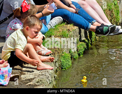 La course de canards banque mai Maison de vacances dans Village lâche, Kent. L'enfant regarde les canards col lâche sur Brooks à l'événement annuel. Banque D'Images