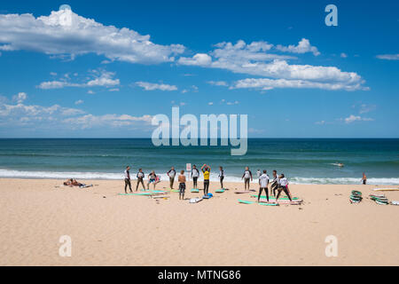 Manly Beach est une plage située entre les plages du nord de Sydney, New South Wales, Australia Banque D'Images