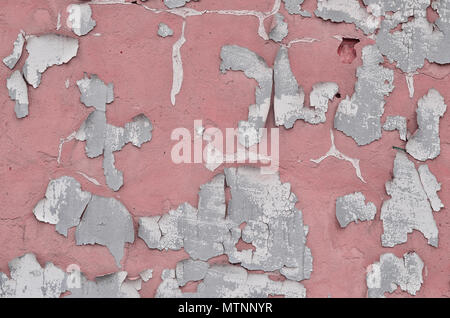 Close-up et patiné rose tachée de mur de béton obsolète la texture. Vieux avec détaillées de la surface de la couche de peinture craquelée Banque D'Images