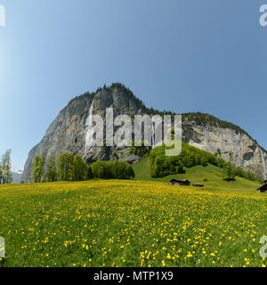 Vue panoramique sur une colline à pente, sous la falaise avec chute d'Spissbach fonctionnant en bas sur un jour clair en mai avec fleurs de pissenlit partout Banque D'Images
