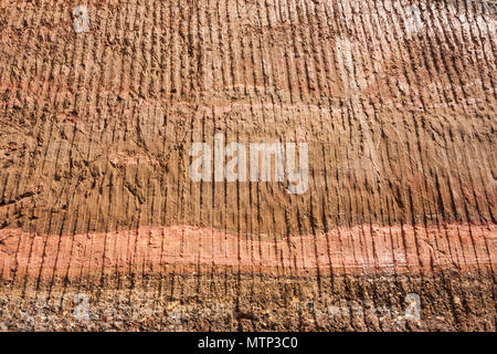 La destruction de la forêt amazonienne, en Equateur Banque D'Images