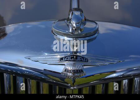 Voiture Jaguar vintage et de l'emblème de calandre, Jaguar 3½ litre Banque D'Images