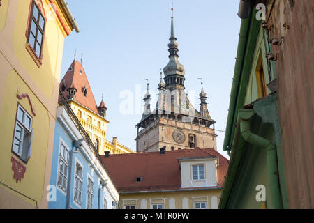 Tour de l'horloge historique Transivania Roumanie Sighisoara. Banque D'Images