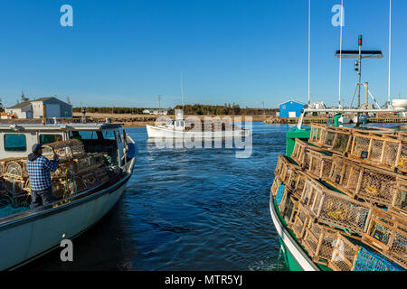 Casier à homard mise jour du quai dans Malpaque, Prince Edward Island, Canada. Banque D'Images