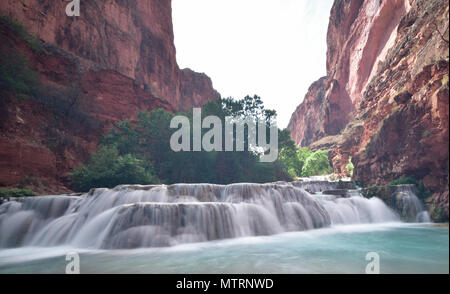 L'automne de castor sur Havasu Creek Banque D'Images