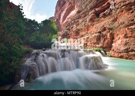 L'automne de castor sur Havasu Creek Banque D'Images