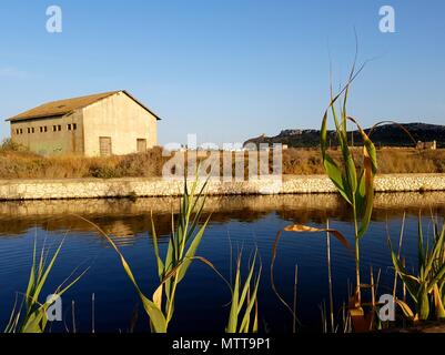 Cagliari, Molentargius Saline Parc Régional et selle du diable. La Sardaigne, Italie Banque D'Images