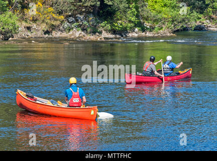 Rivière SPEY SCOTLAND SPEYSIDE TAMDHU À CANOE CANOÉISTE EN SOLEIL DU PRINTEMPS DEUX CANOTS À LA DESCENTE DES RAPIDES Banque D'Images