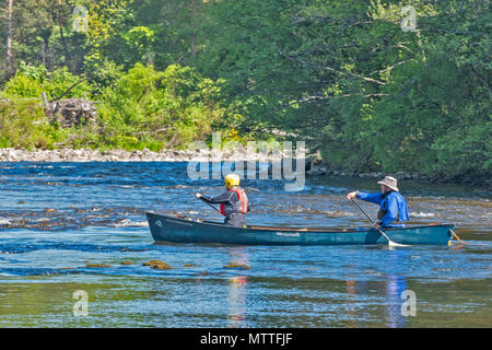 Rivière SPEY SCOTLAND SPEYSIDE TAMDHU À CANOE CANOÉISTE EN SOLEIL DU PRINTEMPS DEUX DANS UN CANOT VERT Banque D'Images