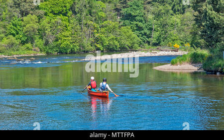 Rivière SPEY SCOTLAND SPEYSIDE TAMDHU À CANOE CANOÉISTE EN SOLEIL DU PRINTEMPS DEUX PERSONNES DANS UN CANOË ROUGE SUR UN COUDE AVEC RAPIDS Banque D'Images