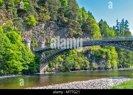 THOMAS TELFORD BRIDGE À CRAIGELLACHIE ECOSSE PERSONNES TRAVERSANT LE PONT SUR LA RIVIÈRE SPEY ENTOURÉ PAR DES ARBRES ET DES FLEURS AU PRINTEMPS Banque D'Images