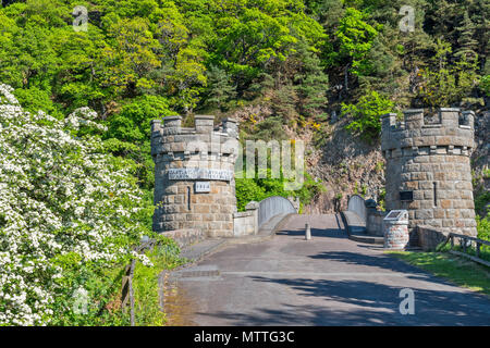 THOMAS TELFORD BRIDGE À CRAIGELLACHIE ECOSSE LES TOURS ET DES REPÈRES ET L'AUBÉPINE en fleurs au printemps Banque D'Images