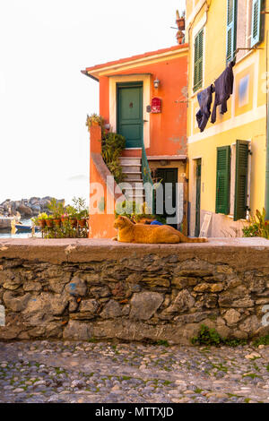 Lerici, Tellaro, village du district de La Spezia, ligurie, italie Banque D'Images