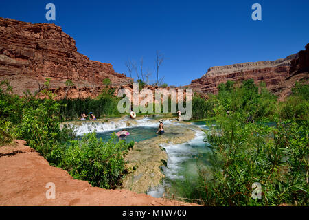 Havasu Creek près de Novajo Automne Banque D'Images