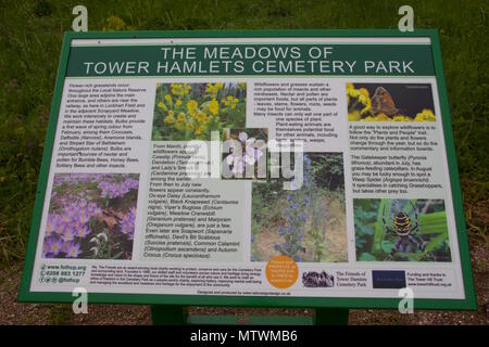 L'information de la faune et de la fleur de la meadows de Tower Hamlets Cemetery Park Banque D'Images