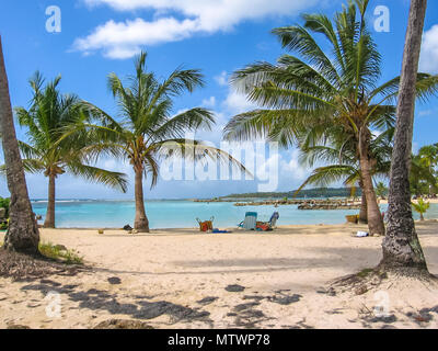Le cocotier, mer turquoise et plage de sable blanc de la célèbre Basilique Sainte-Anne, Guadeloupe, Antilles, Caraïbes. Banque D'Images